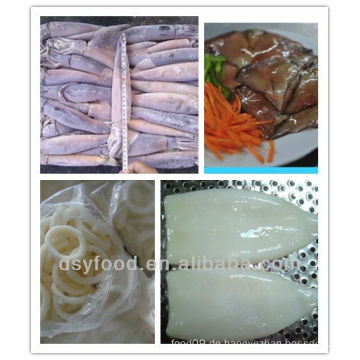 (Squid tube squid wings) gefrorener illex squid